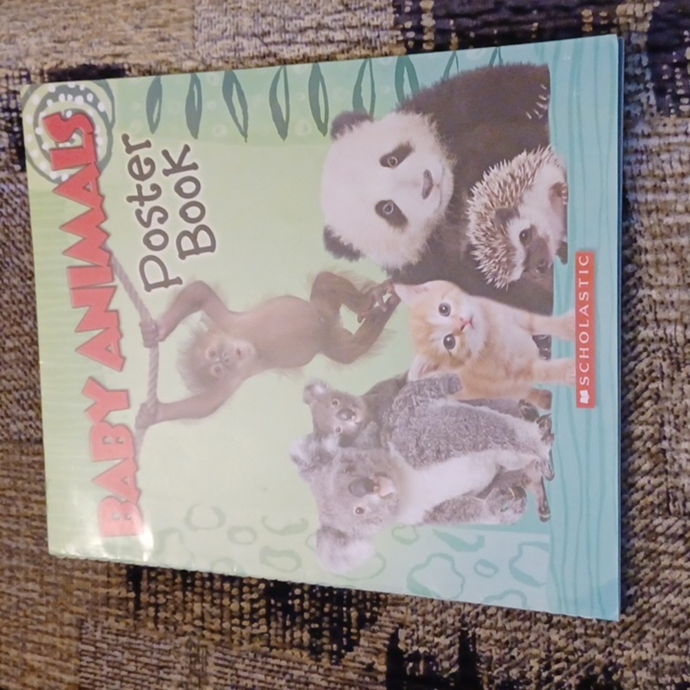 4/$40 Baby Animals Poster Book